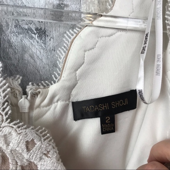 Tadashi Shoji Lace & Tulle Sheath Dress Sz 2 EUC - Picture 6 of 8